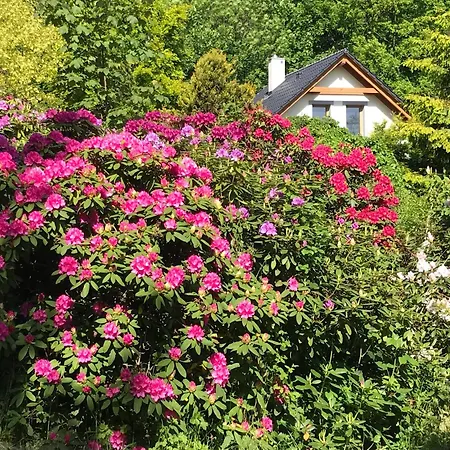 Przysowie - Gory Sowie Σπίτι διακοπών