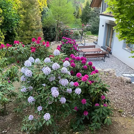 Σπίτι διακοπών Przysowie - Gory Sowie