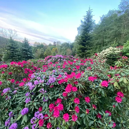 Przysowie - Gory Sowie Rosciszow