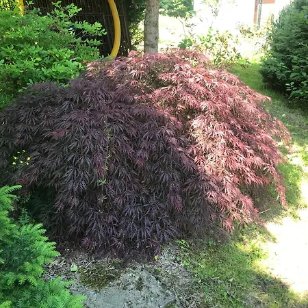 Przysowie - Gory Sowie Σπίτι διακοπών Rosciszow