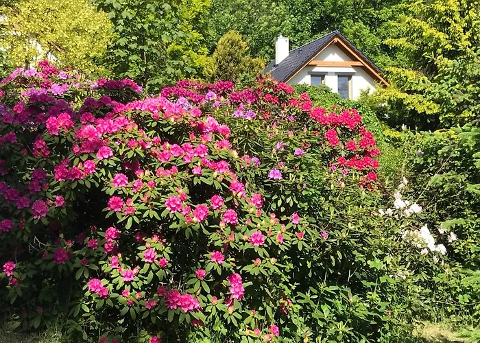 Przysowie - Gory Sowie Casa vacanze