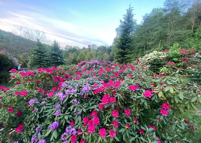 Przysowie - Gory Sowie Rosciszow