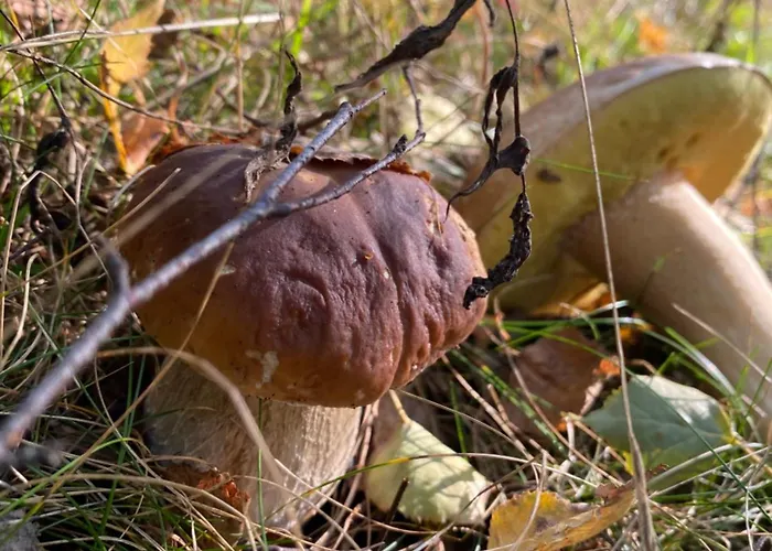 Casa vacanze Przysowie - Gory Sowie