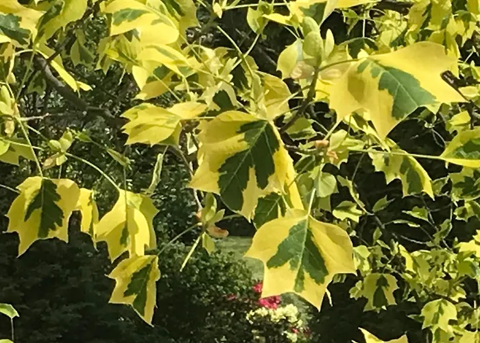 Casa vacanze Przysowie - Gory Sowie Rosciszow